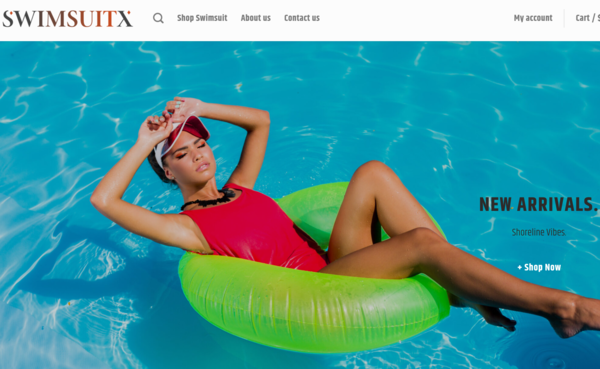 SwimsuitX.com - Swimsuitx.com - Automated Dropshipping Business - No Reserve - +$1000 Worth