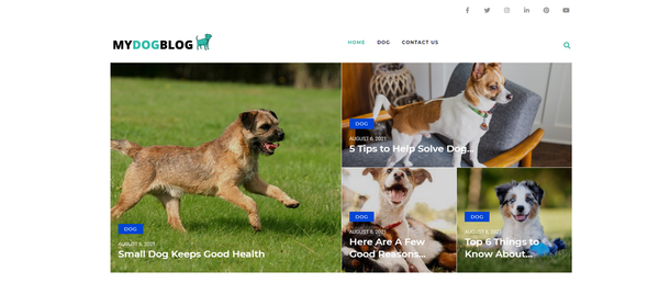 mydogportal.com - Dog Blog with Unique Content 12,000 + Words. Get Organic Traffic.