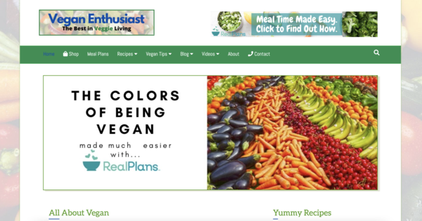 VeganEnthusiast.com - Fast Site. 100% Automated, Vegan eStore/Blog, Amazon & Aff Incomes. BIN Bonus.