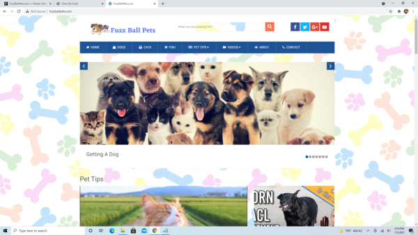 FuzzBallPets.com - High Converting Hot Pet Niche - Premium Design - 100% Fully Automated